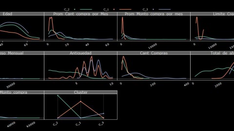 Acciones de marketing con Data Mining
