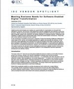 IDC Report - software digital transformation