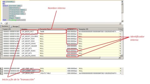 Usar la función fn_dblog para ver el detalle del registro de transaciones