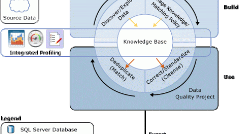 Microsoft SQL Server Data Quality Services