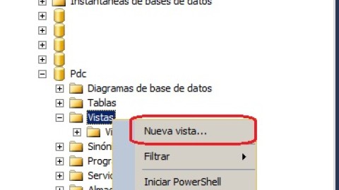 Creación de nueva vista desde la vista Diesño