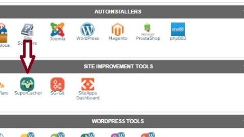 Activación de Google PageSpeed en cPanel