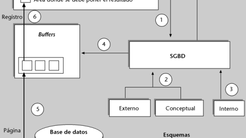 Flujo de datos y control de una base de datos