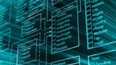 La gestión de datos maestros (MDM)