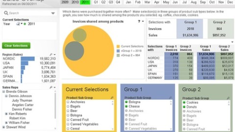 Analisis comparativo con QlikView 11