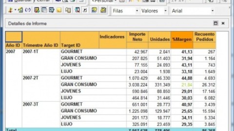  Reporting en Microstrategy 9 (II).