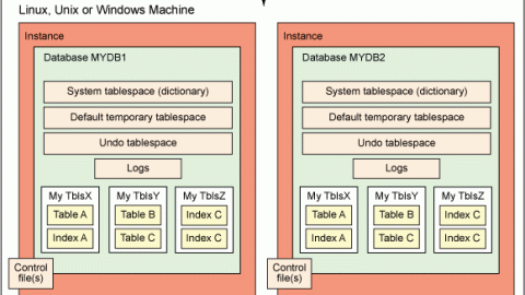 Esquema de arquitectura DB2 y Oracle