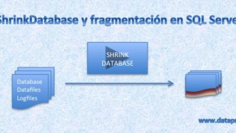 ShrinkDatabase de SQL Server