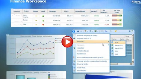 IBM Cognos 10 