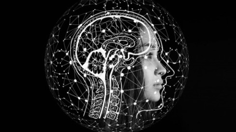 The Beginner’s Guide to Artificial Intelligence on AWS