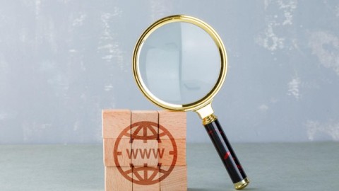 "Domain Authority Check"