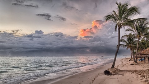 "Paradisiac cloud migration"