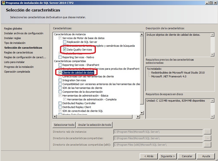 Caracteristicas de Microsoft SQL Server Data Quality Services