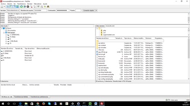Descarga FTP de ficheros del hosting con Filezilla