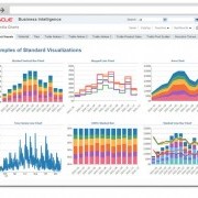 Oracle Business Intelligence (OBI)
