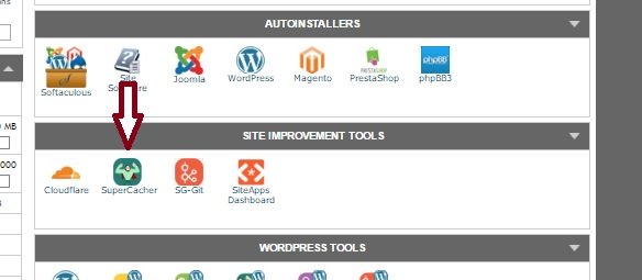 Activación de Google PageSpeed en cPanel