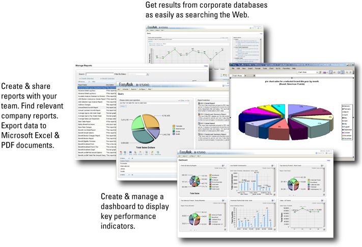 Easyask BI, de Progress Software