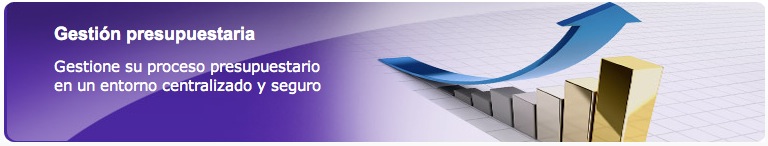 Gestión presupuestaria con Apesoft
