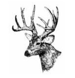 Diseño DWH - Cabeza de ciervo