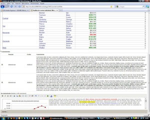 Incorporación de funcionalidades de blog y comentarios a Microstrategy