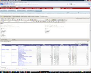 Prompts personalizados en Microstrategy