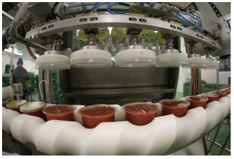 Maquinaria envasado de tomate