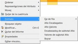 Propiedades del cambio de formato en un informe de Microstrategy