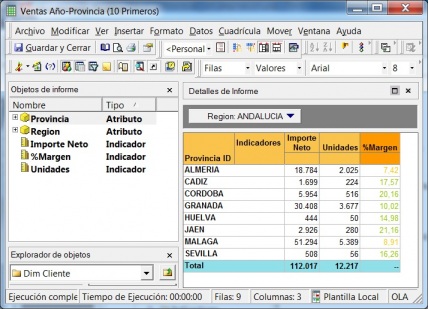  Informes de Microstrategy con paginación
