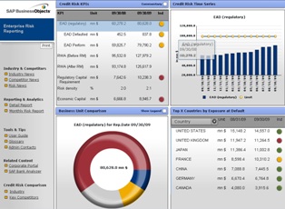 Enterprise Risk Reporting