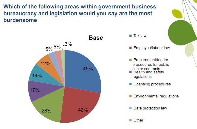 Government Business bureaucracy burdensome areas