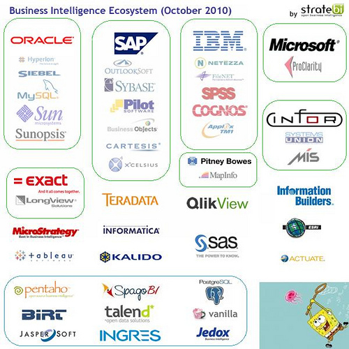 Business Intelligence Ecosystem October 2010