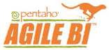 AgileBI