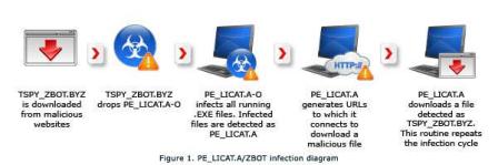 Gráfico infección LICAT
