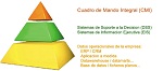 EIS (Executive information system). Cuadros de Mando Integral. DSS (Decission Support System)