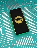 Knowledge Management Issues