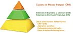 EIS (Executive information system). Cuadros de Mando Integral. DSS (Decission Support System)