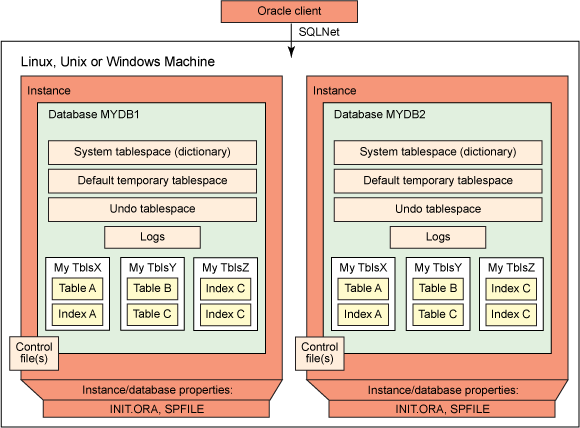 Esquema de arquitectura DB2 y Oracle