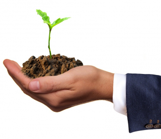 Invertir en un ERP para crecer