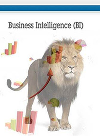 Business Intelligence