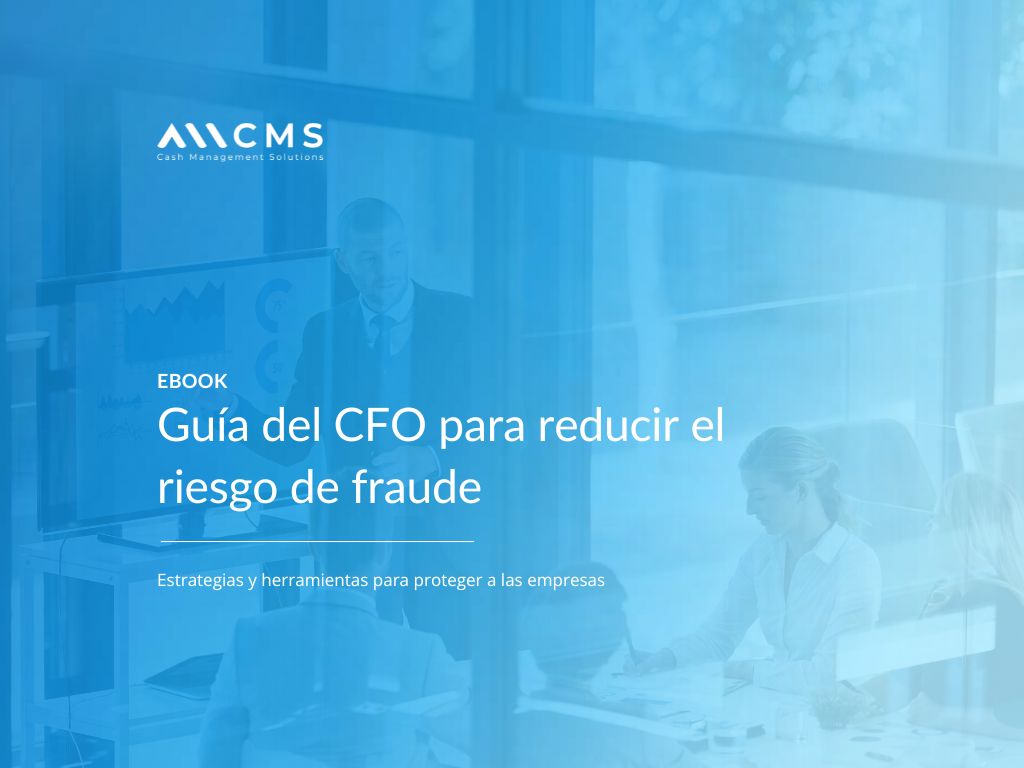 Guía CFO